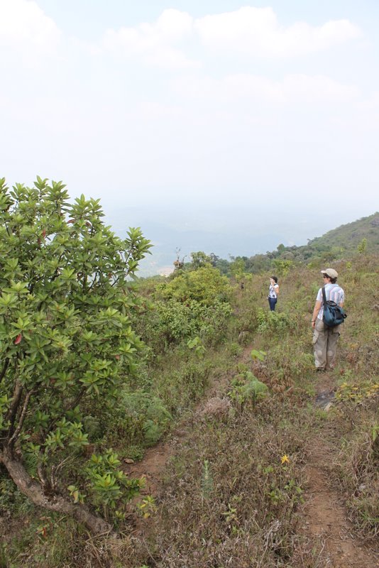 India 2010 - Coorg - Honey Valley - Trek towards Tadiandamol - Ridge Walk